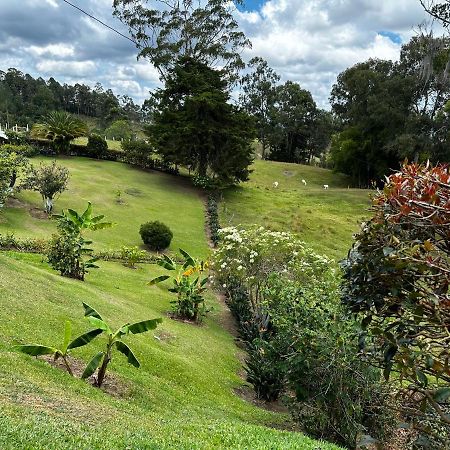 Hotel Avatar Mountain Retreat Rionegro Exteriér fotografie