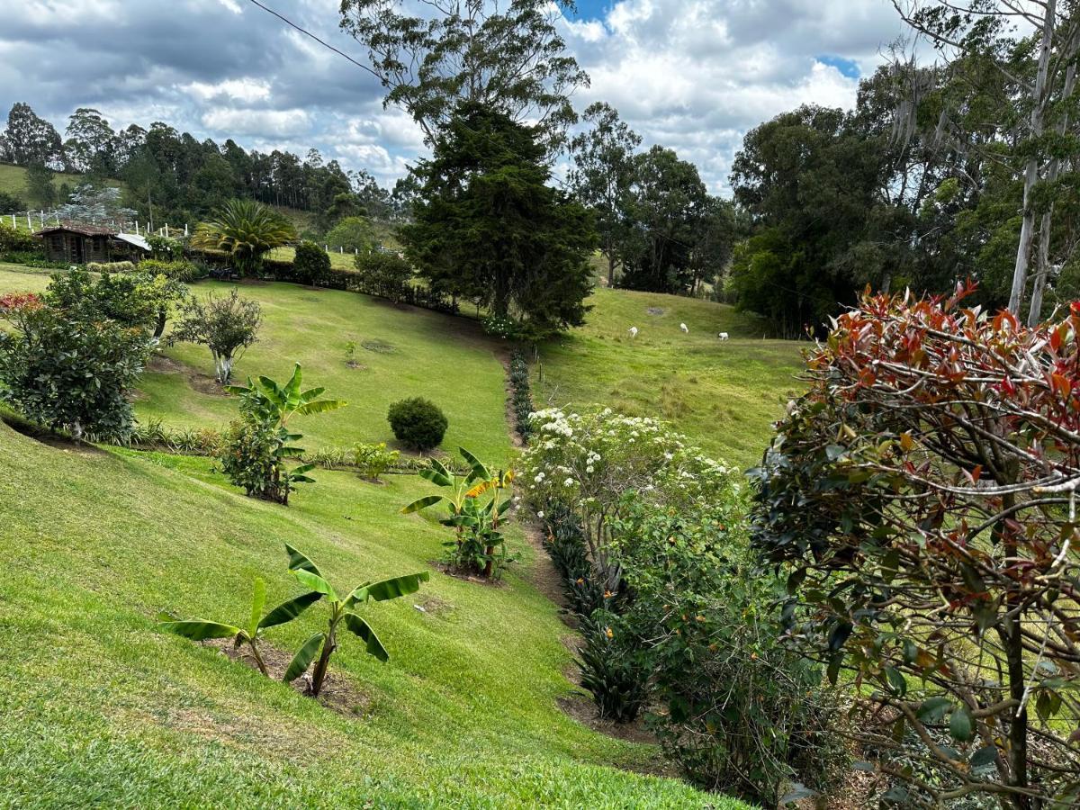 Hotel Avatar Mountain Retreat Rionegro Exteriér fotografie